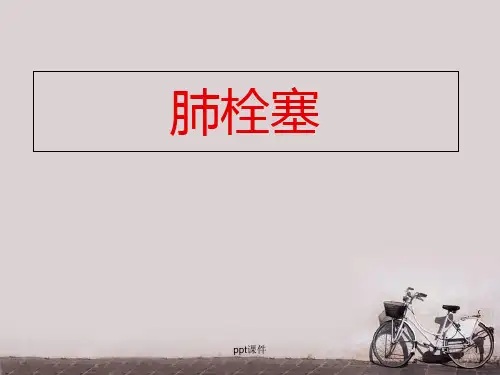 肺栓塞病人的护理  ppt课件