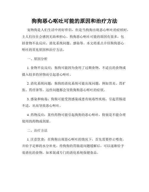 狗狗恶心呕吐可能的原因和治疗方法
