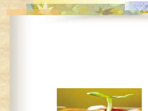 提高执行力的方法(PPT 42张)