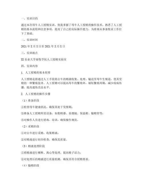 母牛人工授精实训报告