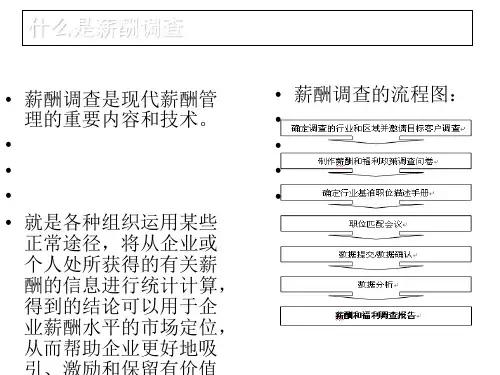 薪酬调查案例(PPT 37张)