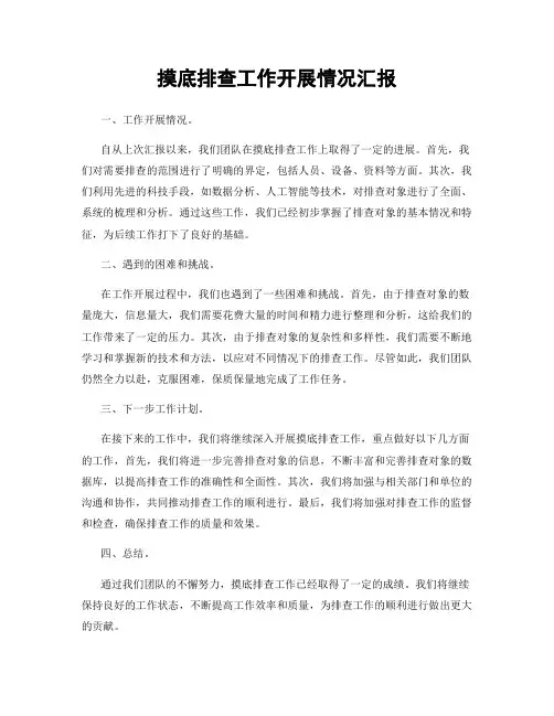摸底排查工作开展情况汇报