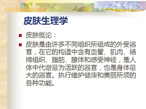 皮肤专业知识理论课件