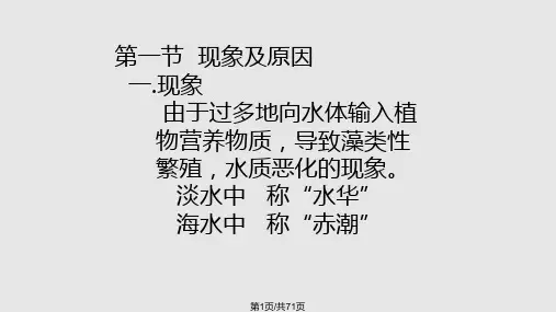 水体富营养化及其对策PPT课件