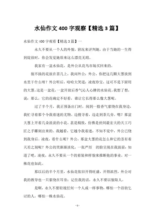水仙作文400字观察【3篇】