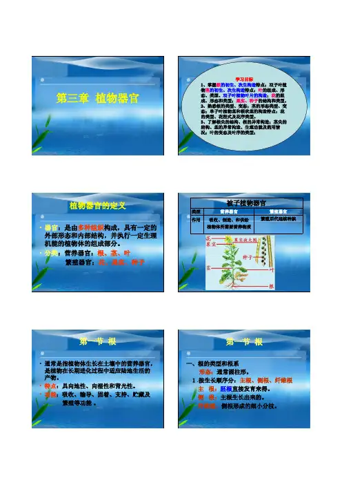 《药用植物学》第三章植物器官（根茎叶）