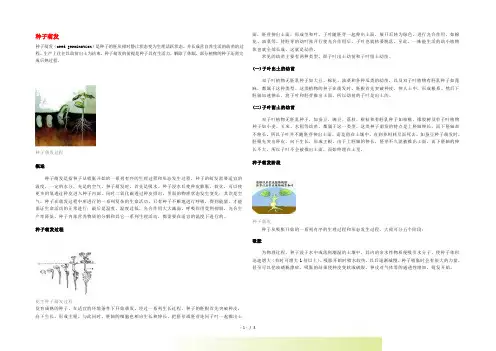 八年级生物上册《种子萌发的过程》文字素材 冀教版