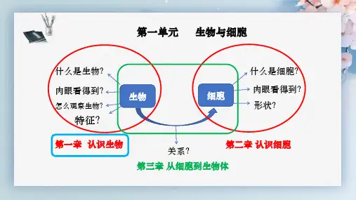 1.1.2 生物的特征-七年级生物上册课件(人教版2024新教材)