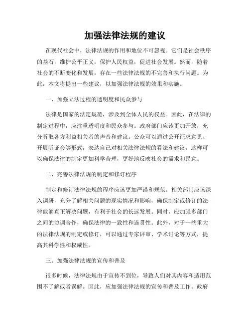 加强法律法规的建议