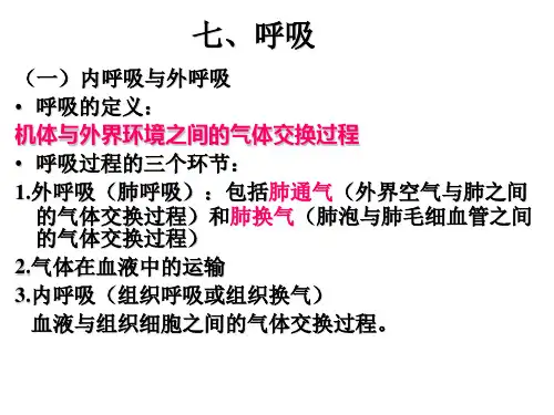 呼吸系统(新)
