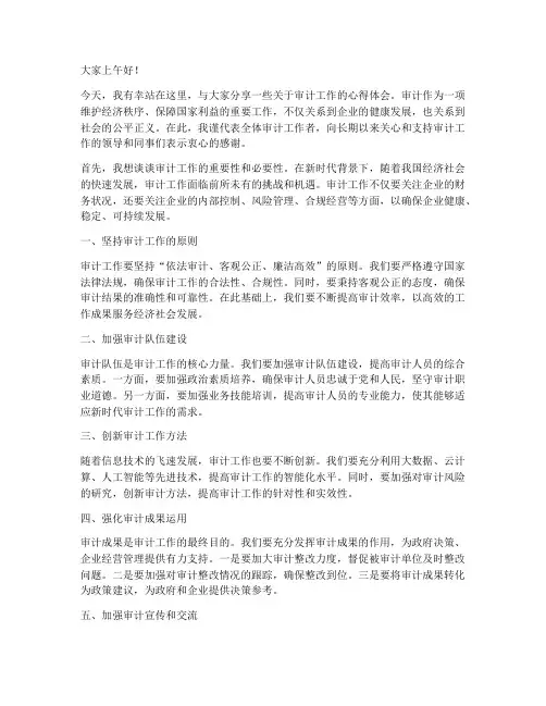 审计工作交流发言稿范文