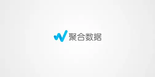聚合数据简介