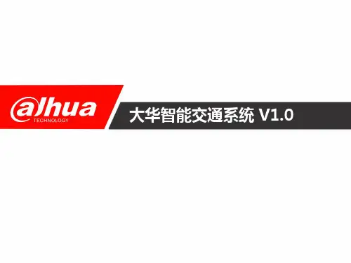大华智能交通系统V1.0