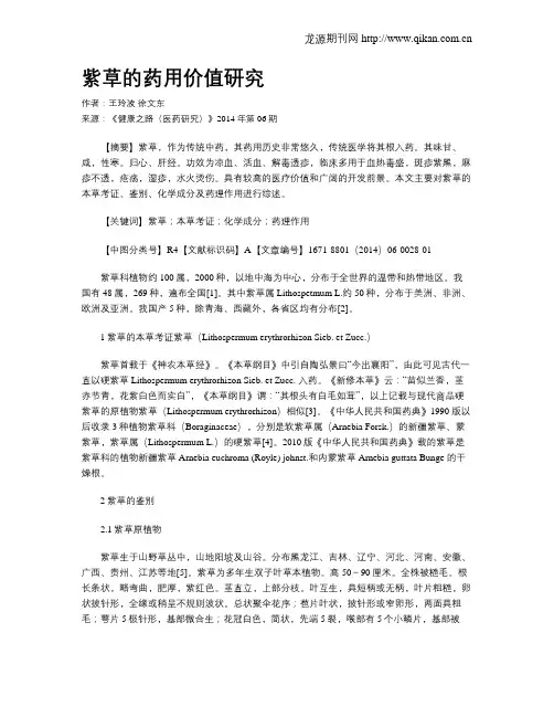 紫草的药用价值研究