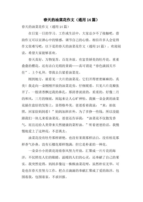 春天的油菜花作文(通用14篇)