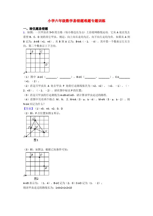 小学六年级数学易错题难题专题训练