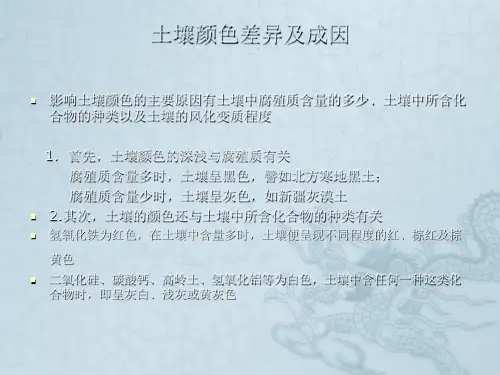 江西红壤对钢的腐蚀讲解