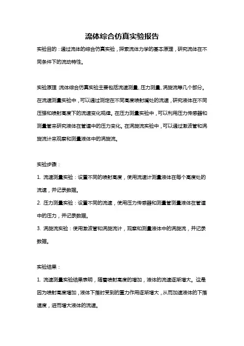 流体综合仿真实验报告