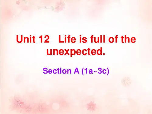 人教版九年级英语下册课后作业课件：课后Unit 12(共45张PPT)
