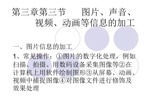 图片、声音、视频、动画等信息的加工