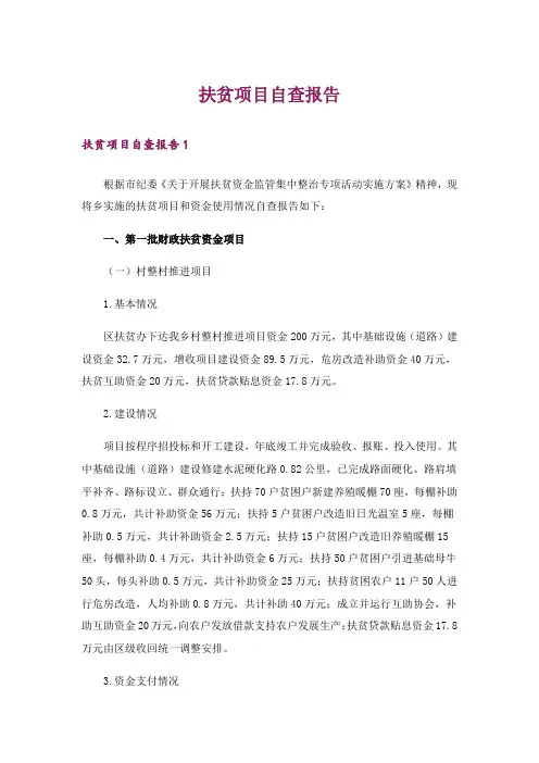 扶贫项目自查报告