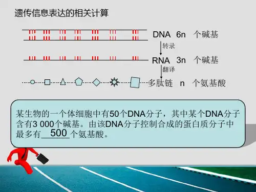 基因的表达计算