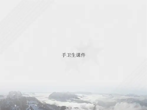 手卫生课件讲课文档