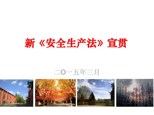新安全生产法宣贯ppt