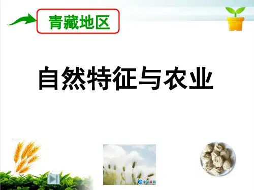 人教八年级下册第九章第一节青藏地区自然特征与农业课件共29张PPT