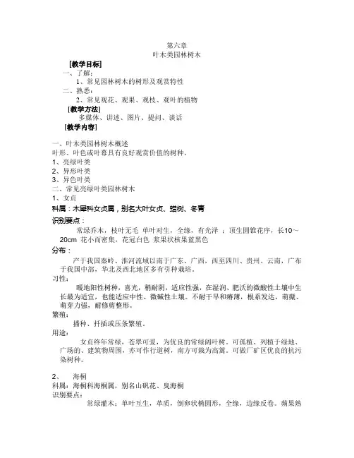 叶木类园林树木