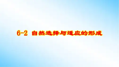 6-2 自然选择与适应的形成