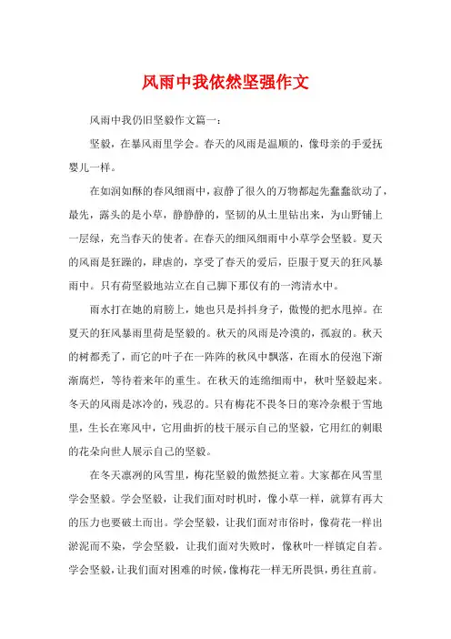 风雨中我依然坚强作文