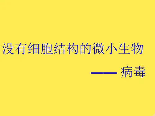 七年级生物 没有细胞结构的微小生物 病毒 课件