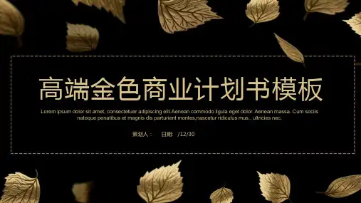 高端金色商业计划书课件