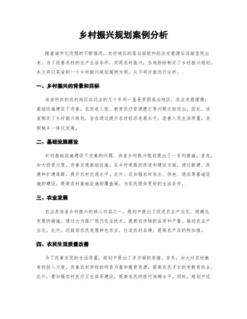 乡村振兴规划案例分析