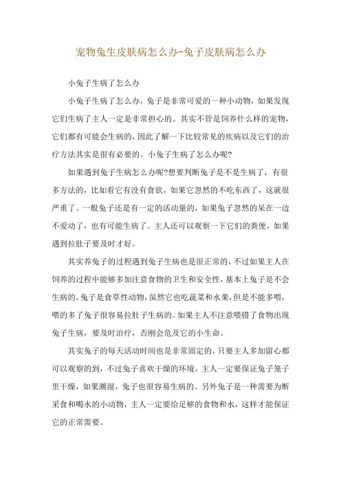 宠物兔生皮肤病怎么办-兔子皮肤病怎么办