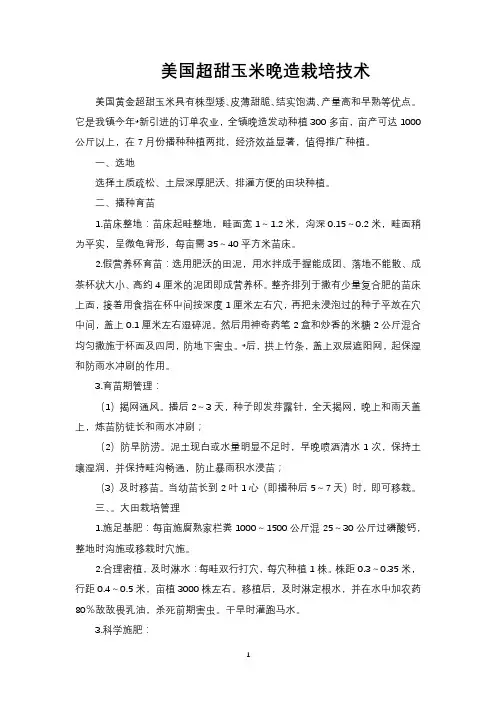美国超甜玉米晚造栽培技术