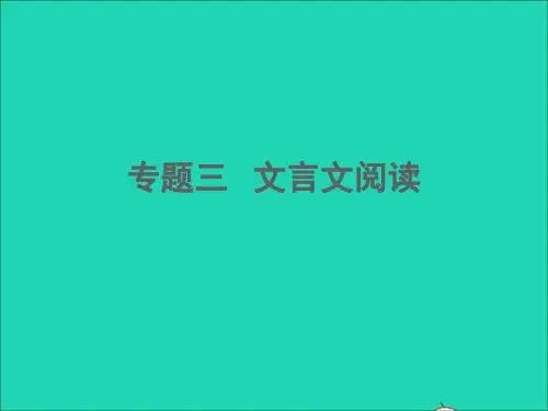 (杭州专版)中考语文专题四   文言文阅读(考点特训 写景游记类 哲理类)