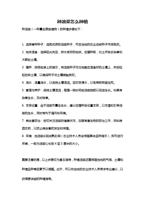 种油菜怎么种植