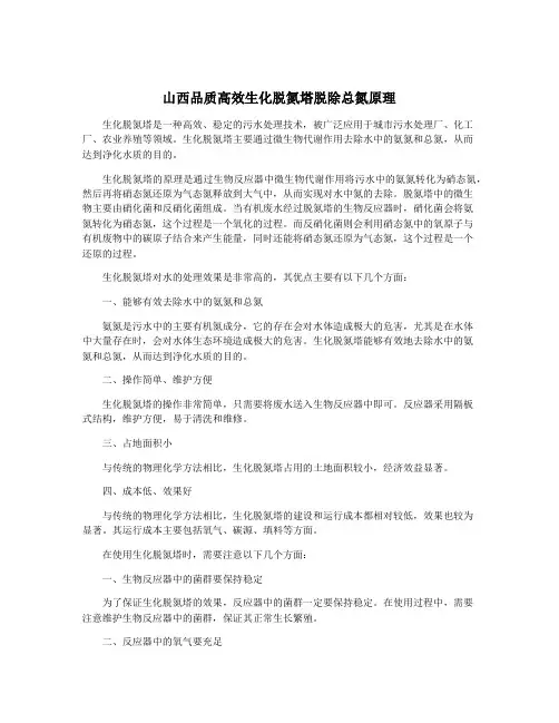 山西品质高效生化脱氮塔脱除总氮原理