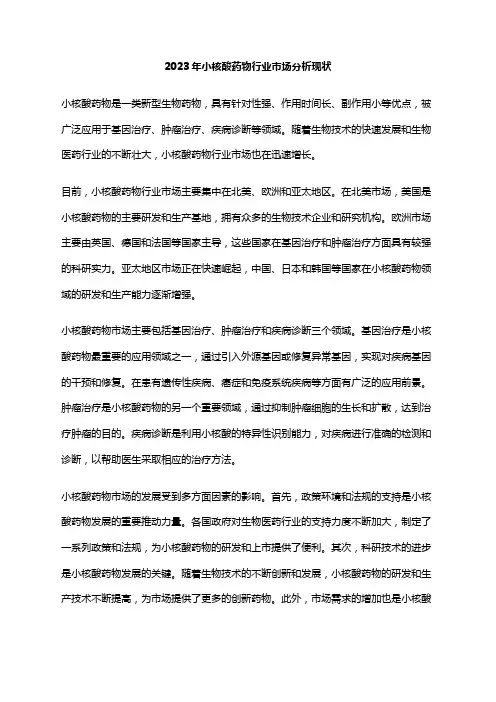 2023年小核酸药物行业市场分析现状