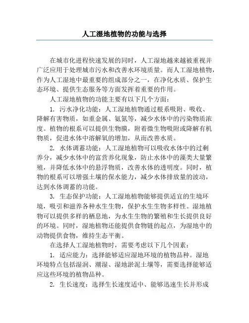 人工湿地植物的功能与选择