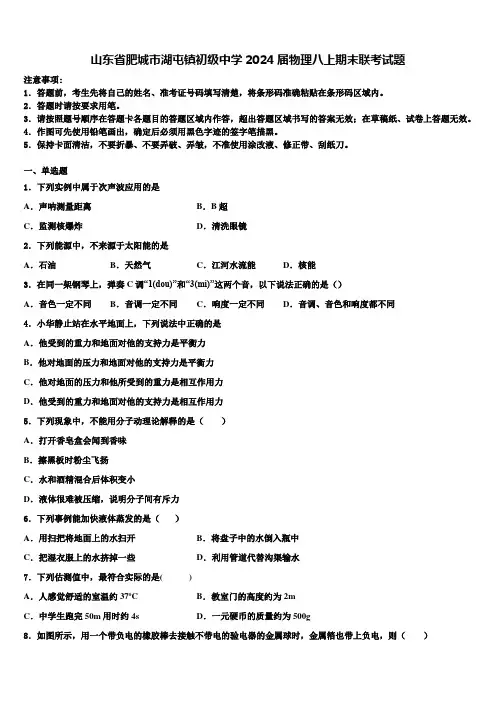 山东省肥城市湖屯镇初级中学2024届物理八上期末联考试题含解析