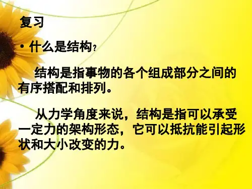 结构案例分析-结构的稳定性和强度