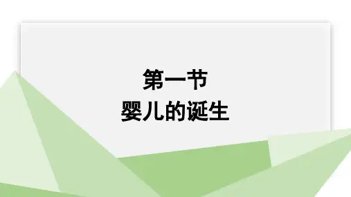 3.1+婴儿的诞生+课件+2023-2024学年初中生物济南版八年级上册