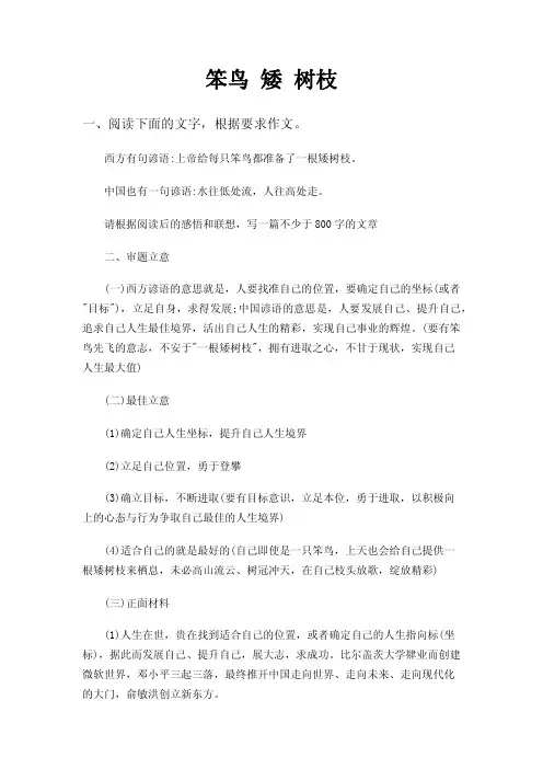 笨鸟矮树枝——精选推荐