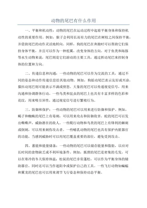 动物的尾巴有什么作用