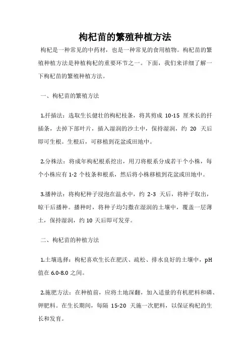 枸杞苗的繁殖种植方法