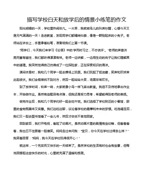 描写学校白天和放学后的情景小练笔的作文