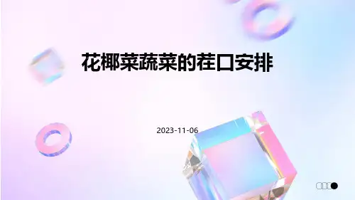花椰菜蔬菜的茬口安排